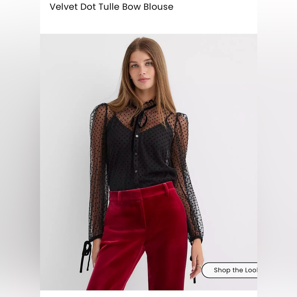 LOFT Black Sheer Velvet Dot Tulle Blouse - WITH RAGS NEVER WORN